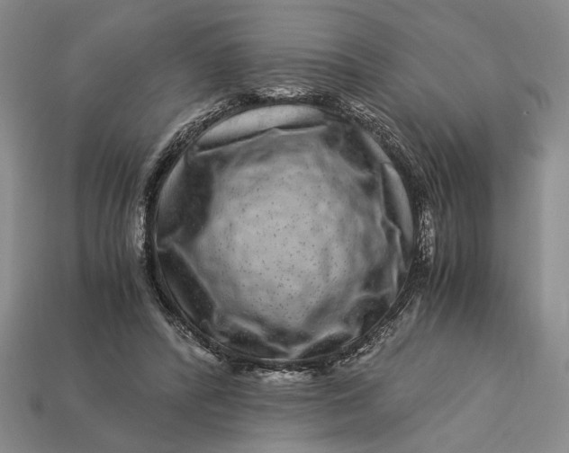 X0000112900400200909111529