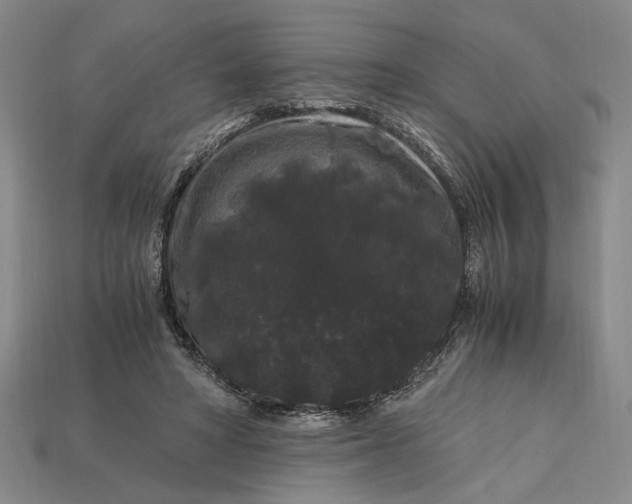 X0000112900402200909111529