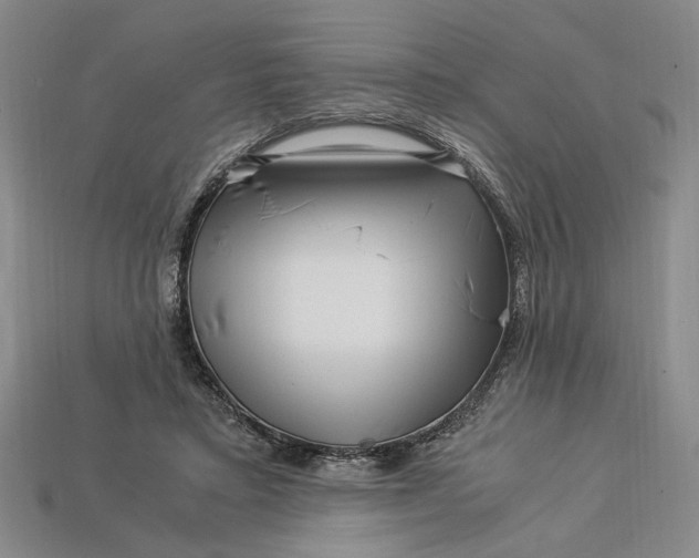 X0000112900403200909111529