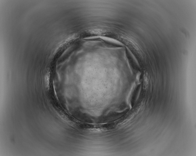 X0000112900404200909111529