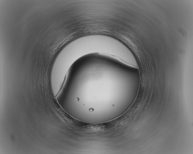 X0000112900405200909111529