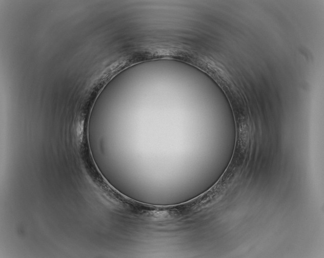 X0000112900406200909111529