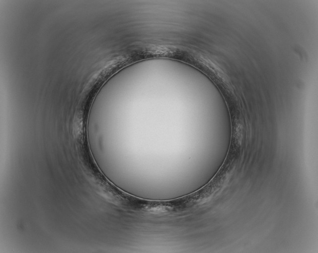 X0000112900407200909111529