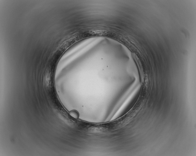X0000112900408200909111529