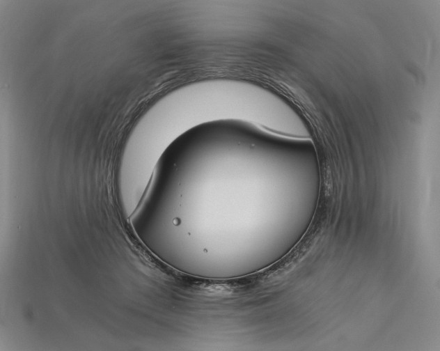 X0000112900409200909111529