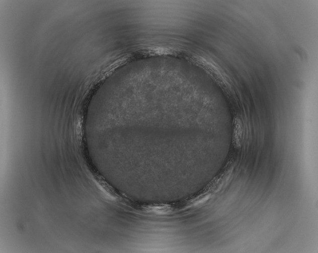 X0000112900410200909111529