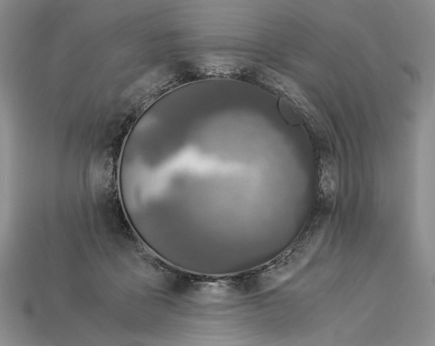 X0000112900411200909111529