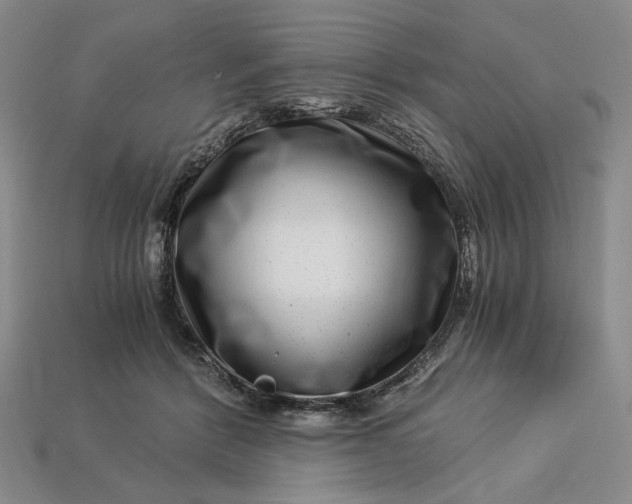 X0000112900412200909111529