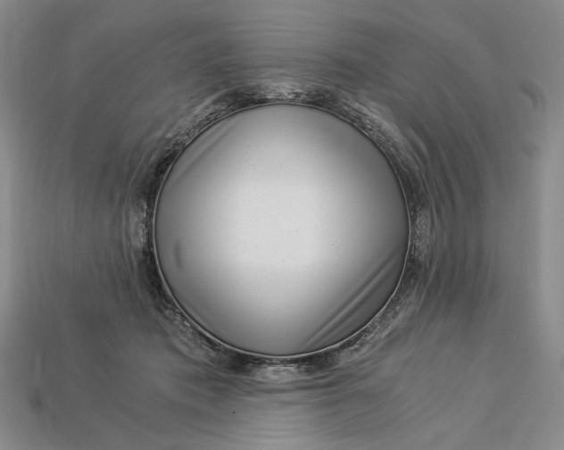 X0000112900413200909111529