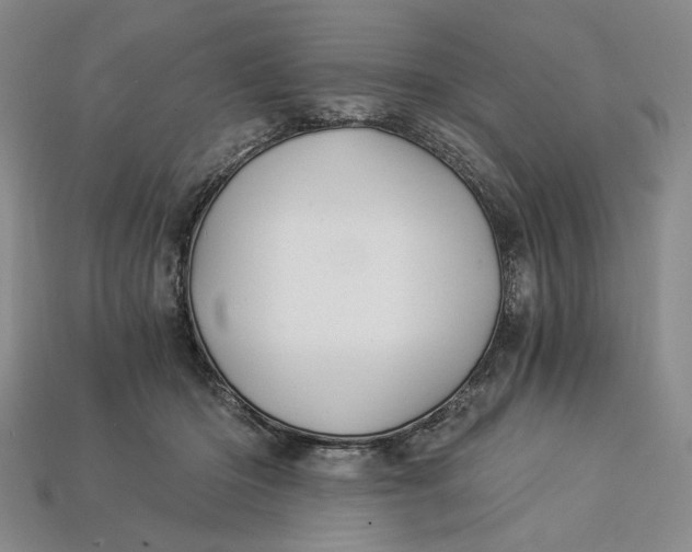 X0000112900414200909111529