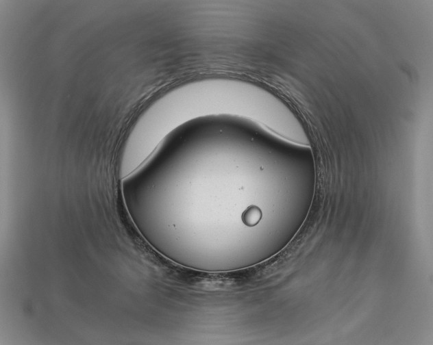 X0000112900415200909111529