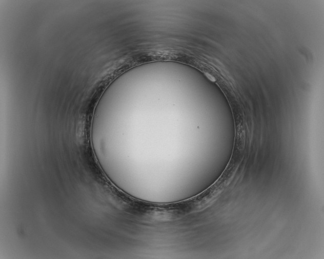 X0000112900416200909111529