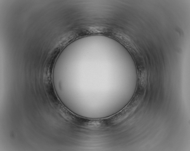 X0000112900418200909111529
