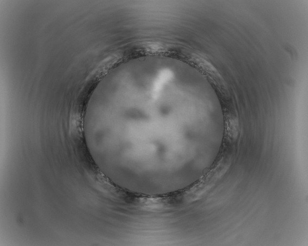 X0000112900419200909111529
