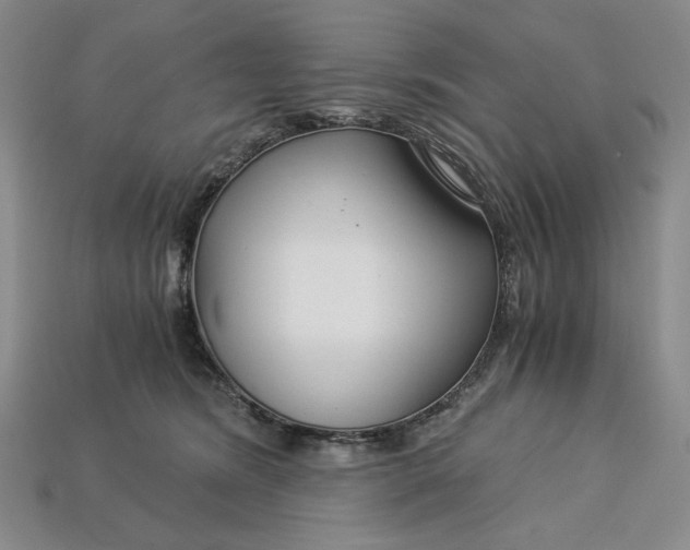 X0000112900420200909111529