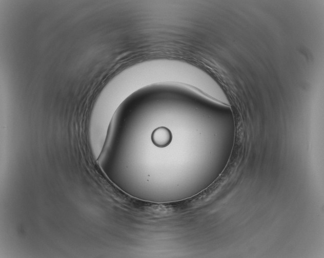 X0000112900421200909111529
