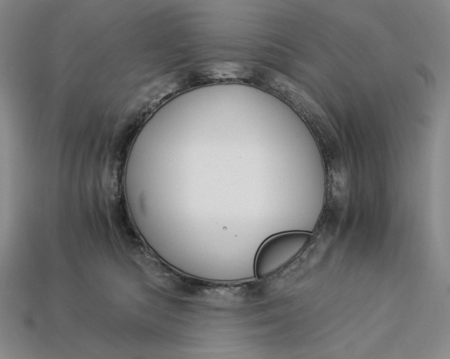 X0000112900422200909111529