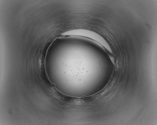 X0000112900424200909111529
