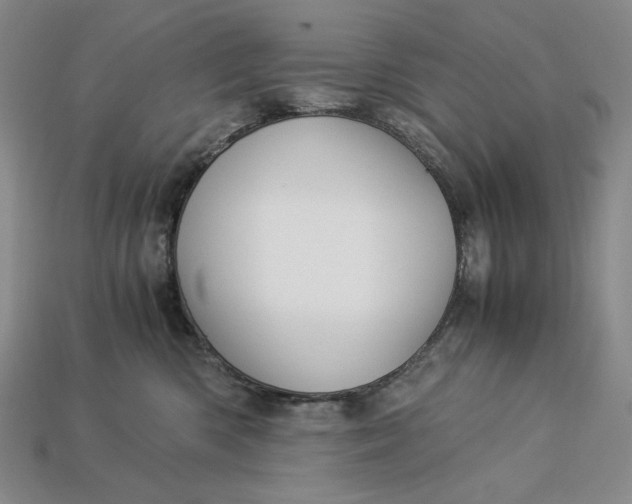 X0000112900426200909111529
