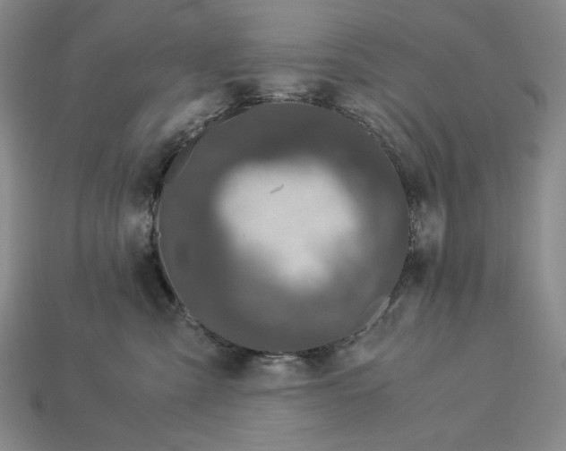 X0000112900427200909111529