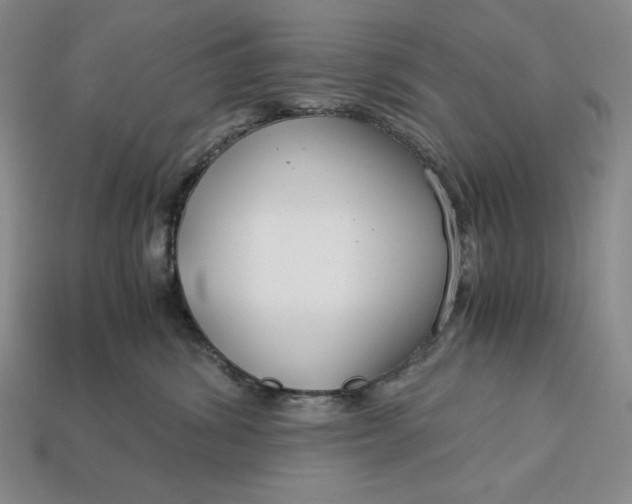 X0000112900428200909111529