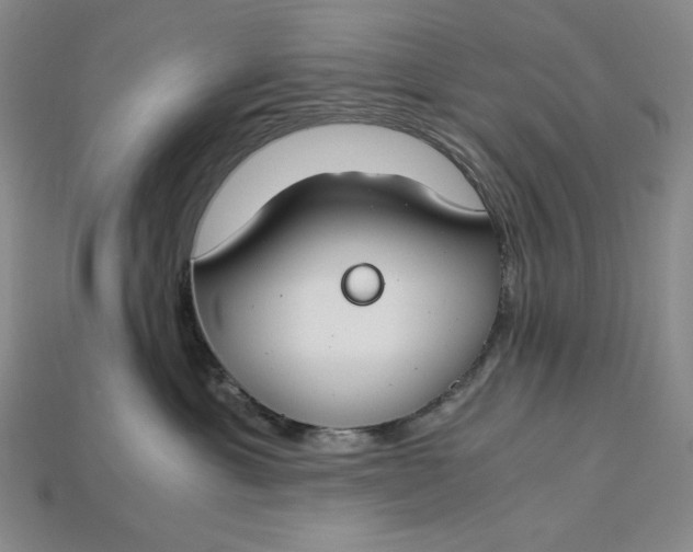 X0000112900429200909111529