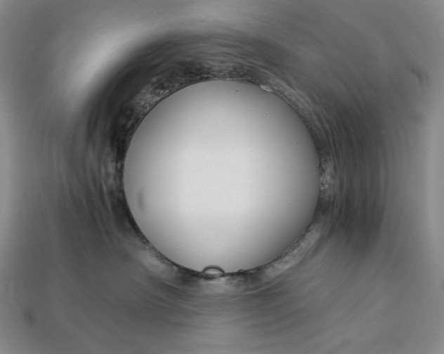 X0000112900430200909111529