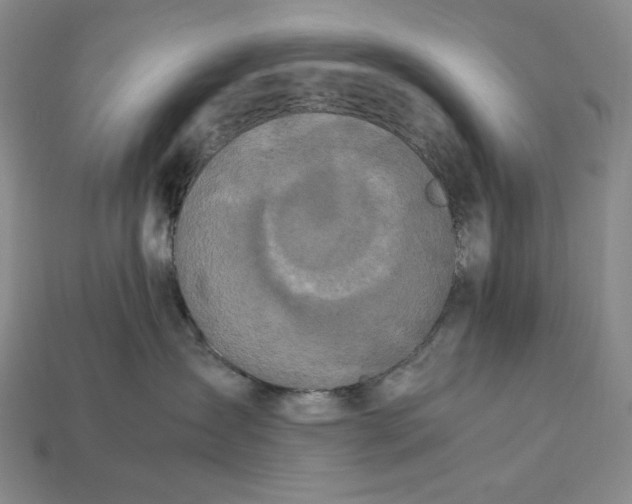 X0000112900431200909111529