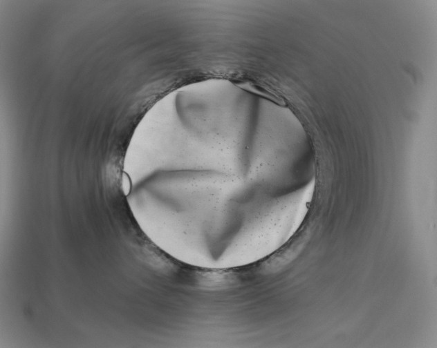 X0000112900432200909111529