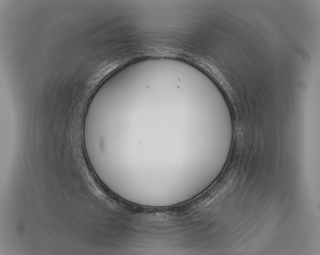 X0000112900433200909111528