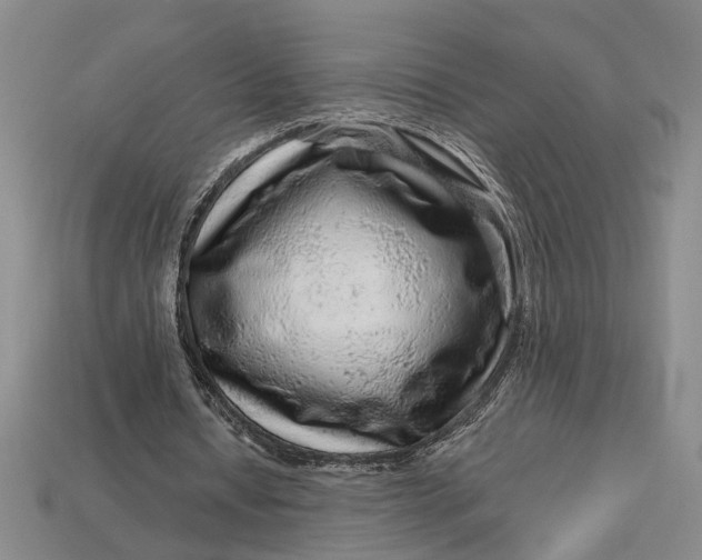 X0000112900434200909111528