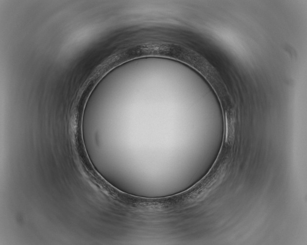 X0000112900435200909111528