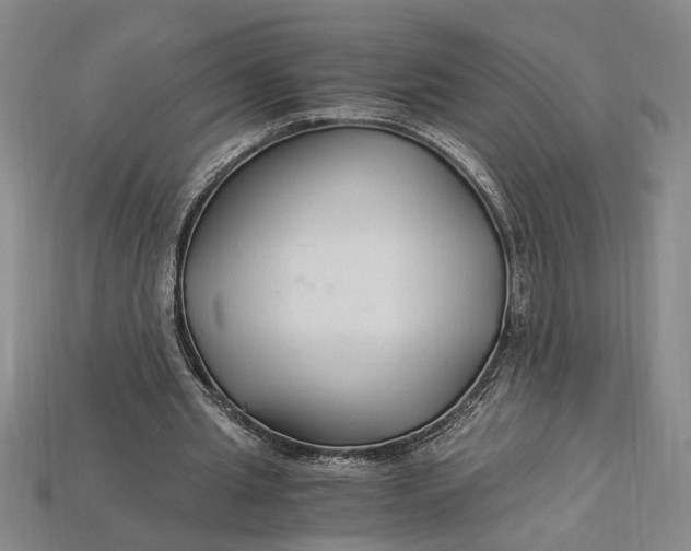 X0000112900437200909111528