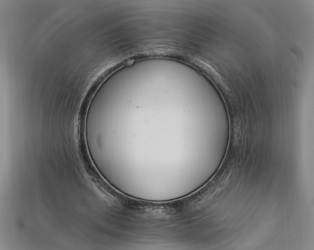 X0000112900439200909111528