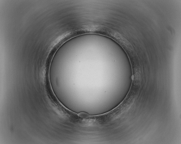 X0000112900440200909111528