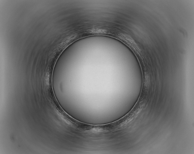 X0000112900441200909111528