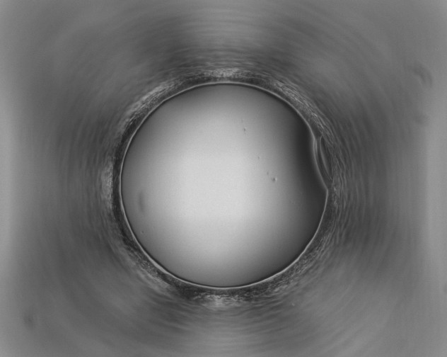 X0000112900442200909111528