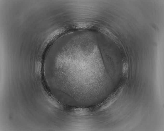 X0000112900444200909111528
