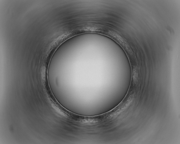 X0000112900445200909111528
