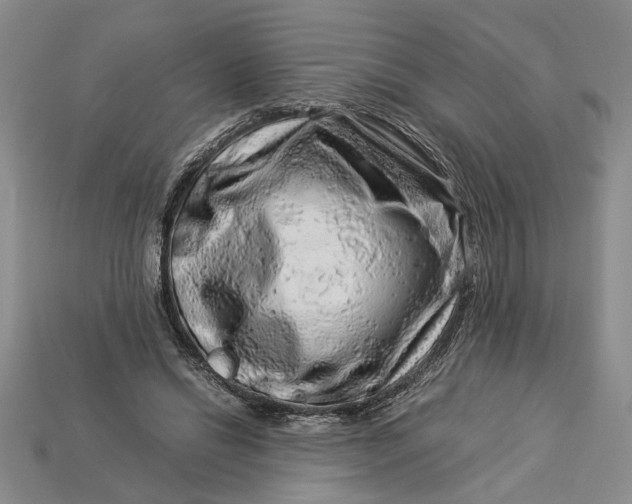 X0000112900446200909111528