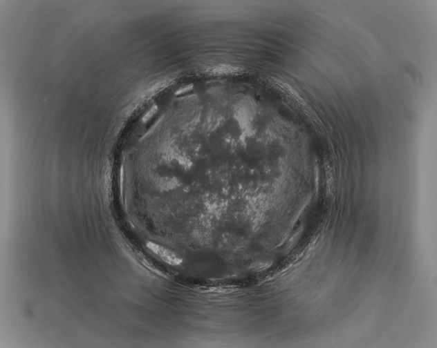 X0000112900447200909111528