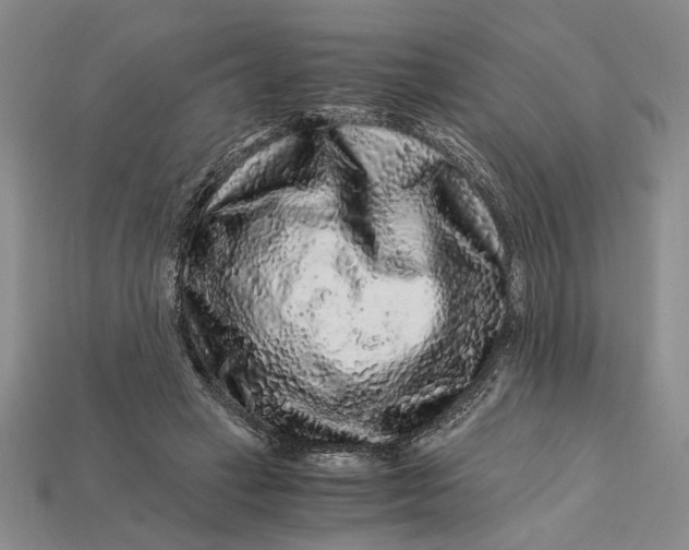 X0000112900449200909111528