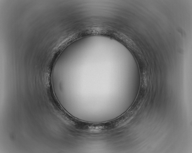 X0000112900450200909111528