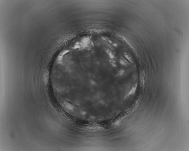 X0000112900451200909111528