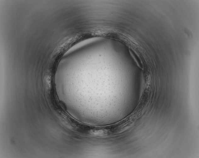 X0000112900452200909111528