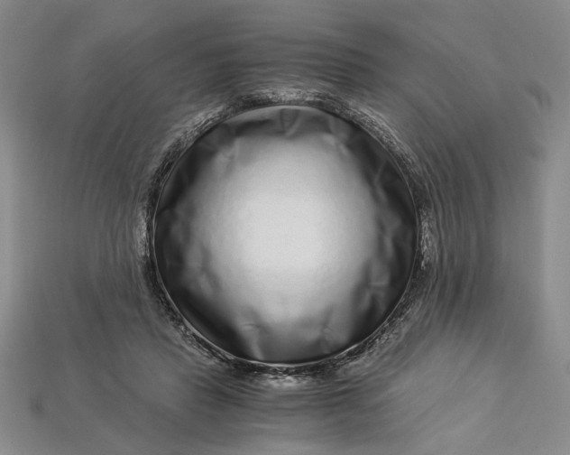 X0000112900453200909111528