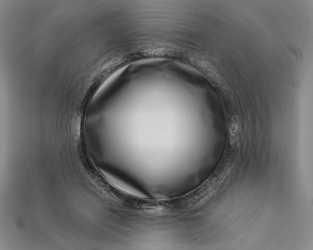 X0000112900454200909111528