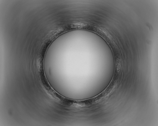 X0000112900455200909111528