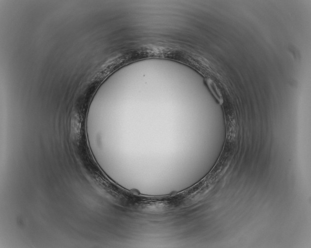 X0000112900456200909111528