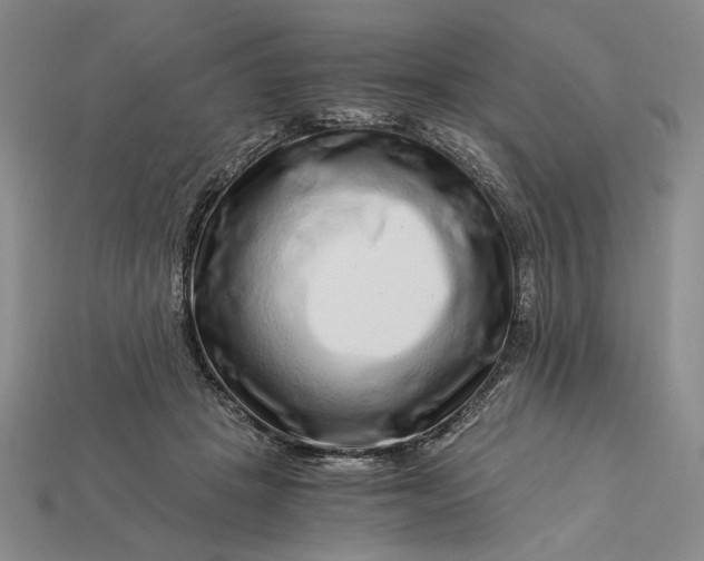 X0000112900457200909111528